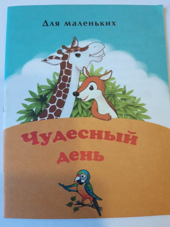 Чудесный день