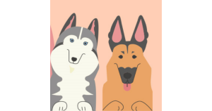 Переводим с песьего на человечий: про виляние хвостом и не только