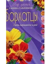 Бархатцы сорта выращивание и уход
