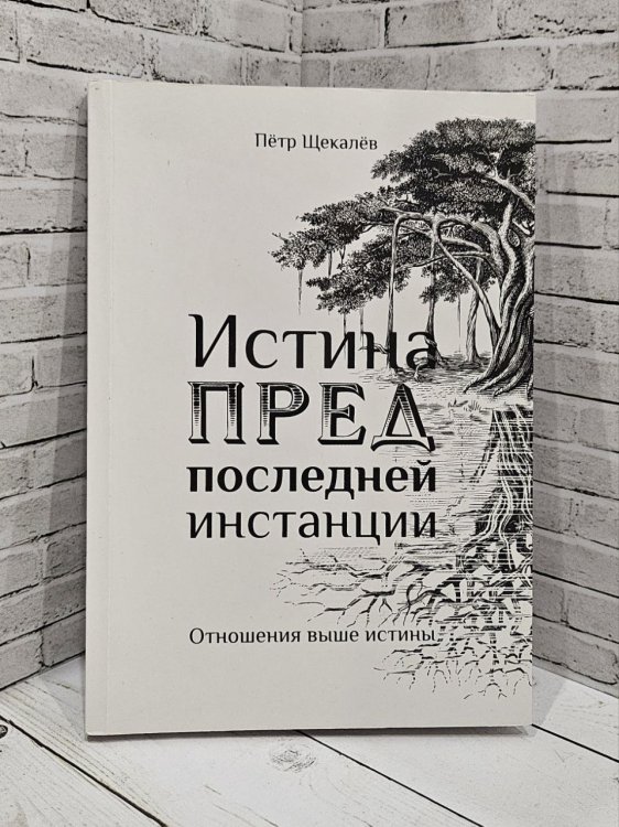 Истина предпоследней инстанции - Отношения выше истины. 1-е изд.