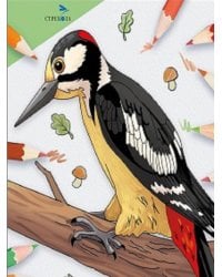 Окружающий мир. Раскраска. Птицы нашего леса