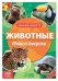 Обучающая книга Животные Южной Америки, 20 стр.  Буква-Ленд