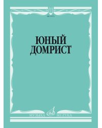Юный домрист : учебно-методическое пособие : младшие классы ДШИ и ДМШ