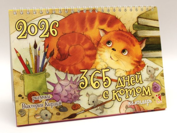 Календарь Календарь-домик 2026. 365 дней с котом