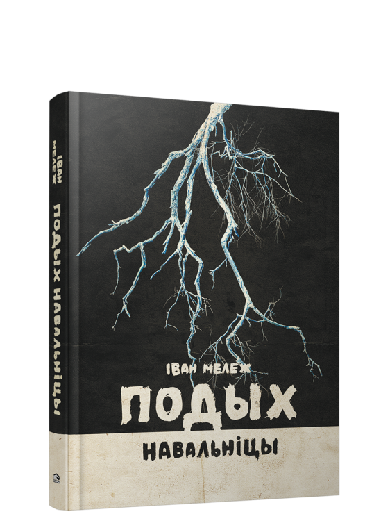 Подых навальніцы: раман