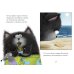 Дополнительное изображение книги «Котенок Шмяк и морские истории / Роб Скоттон»