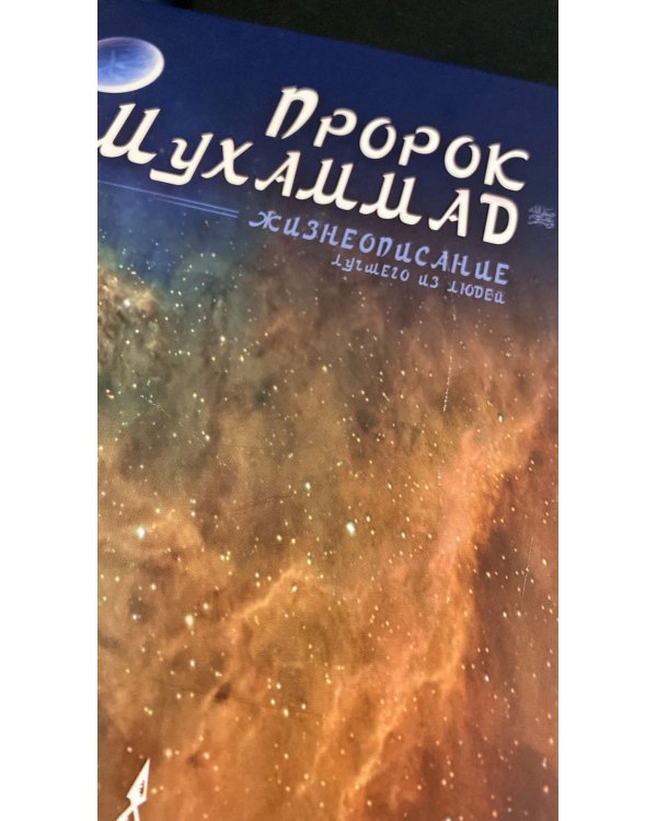 Пророк Мухаммад. Жизнеописание лучшего из людей (мечеть)