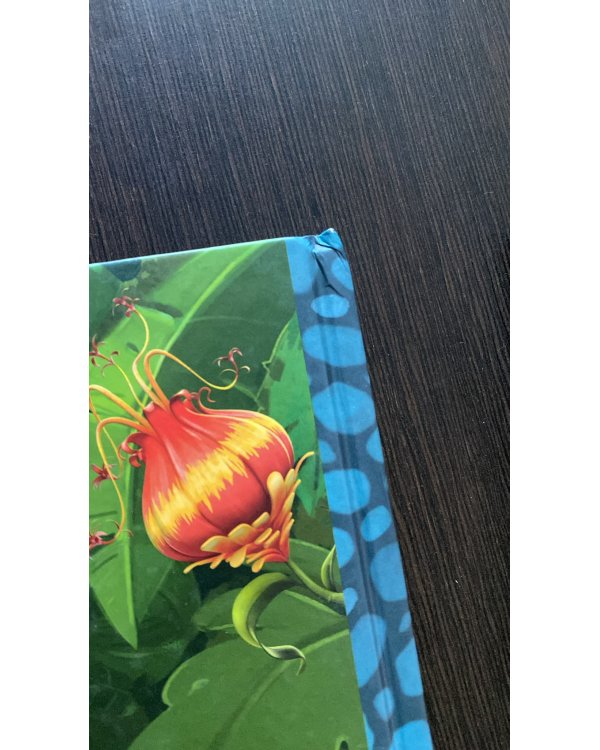 Дополнительное изображение книги «Гигантозавр. Не входи в пещеру!»