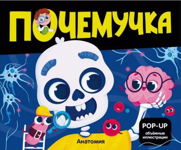 Почемучка. Анатомия