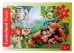 Puzzle mini "Сказки", 24 элемента 