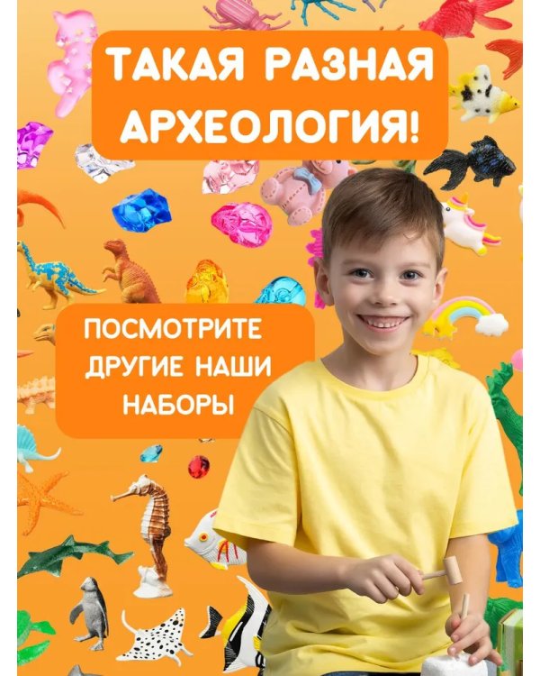 Набор для проведения раскопок Лягушки