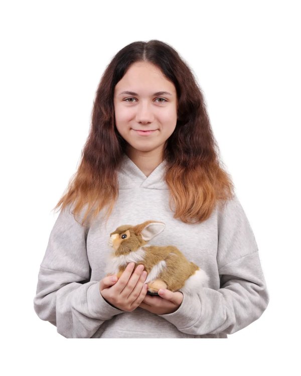 2796 Кролик, коричневый, 23 см