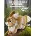 2796 Кролик, коричневый, 23 см