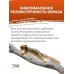 4116 Белка-летяга обыкновенная, 21 см