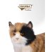 6966 Кошка Бетти Аламо, 62 см