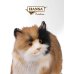 6966 Кошка Бетти Аламо, 62 см