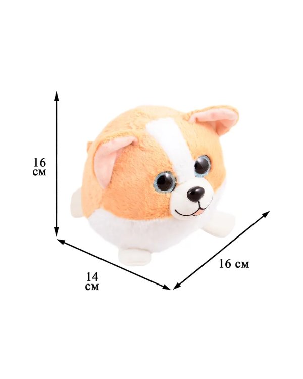 Глазастик Корги