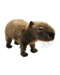 Подарочная игрушка «Капибара»
