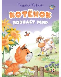 КБ. Котёнок познаёт мир