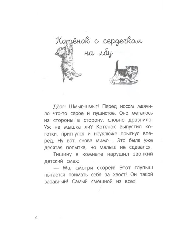 Долгая дорога домой дп