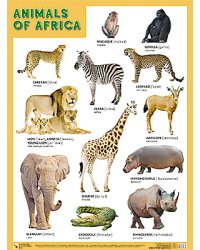 Animals of Afrika (Животные Африки)