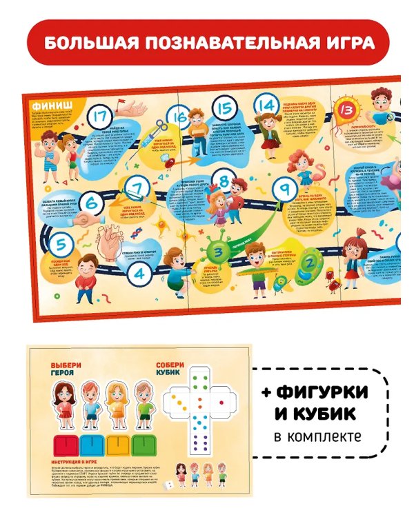 Что внутри человека? Анатомия