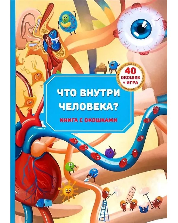 Что внутри человека? Анатомия