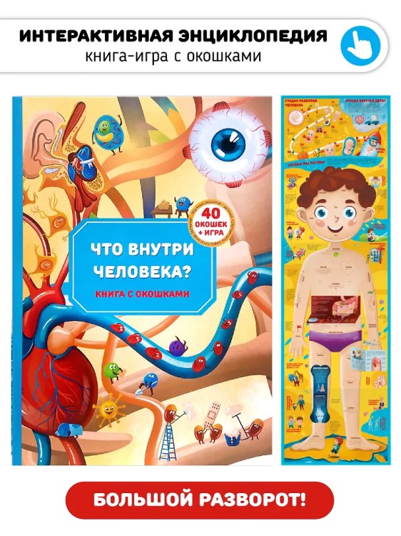 Что внутри человека? Анатомия