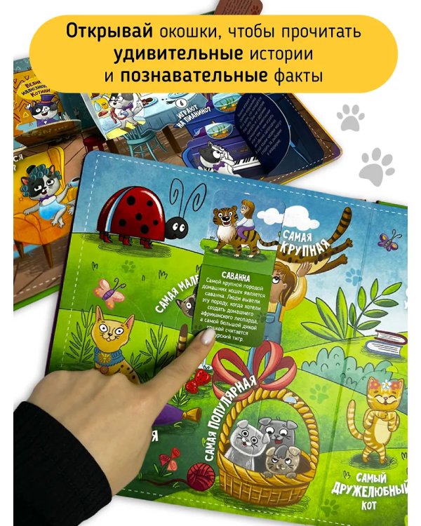 Книга с окошками "Смотри, кошка!"