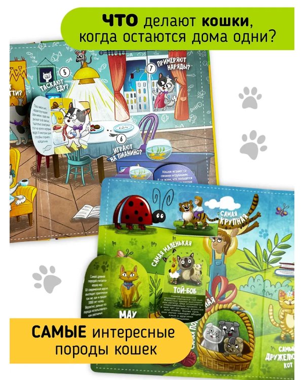 Книга с окошками "Смотри, кошка!"