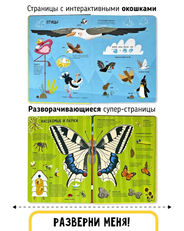 Мои первые открытия. Животные