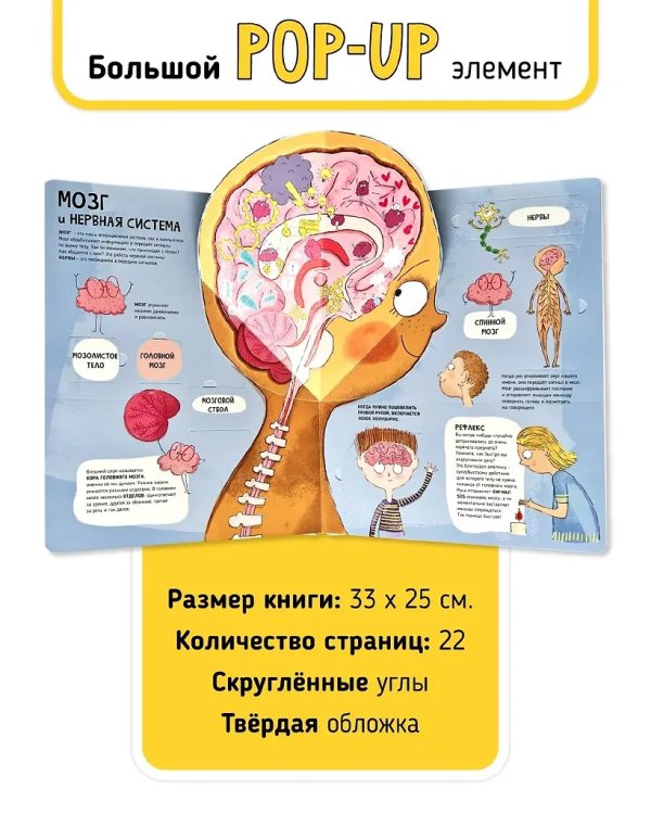 Мои первые открытия. Тело человека