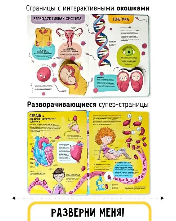 Мои первые открытия. Тело человека