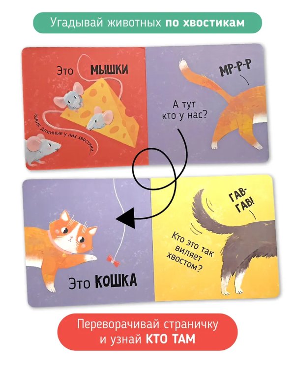 Книга картонка "Кто там?"