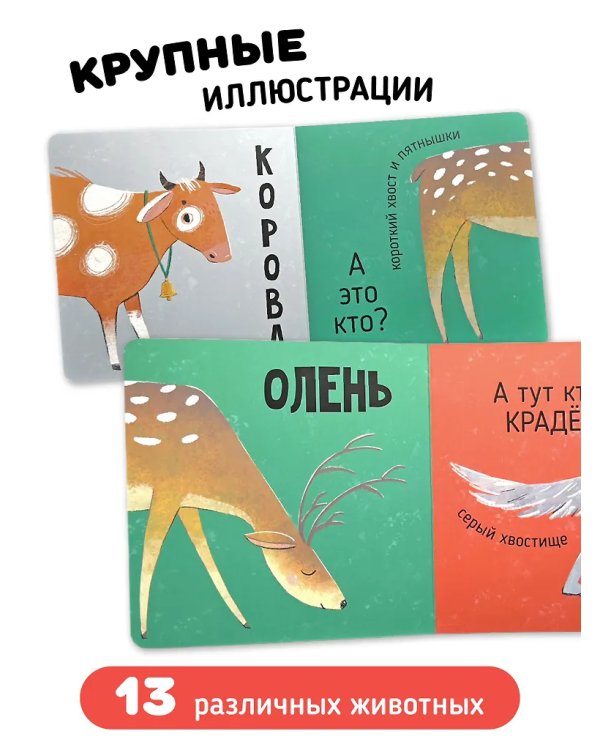 Книга картонка "Кто там?"