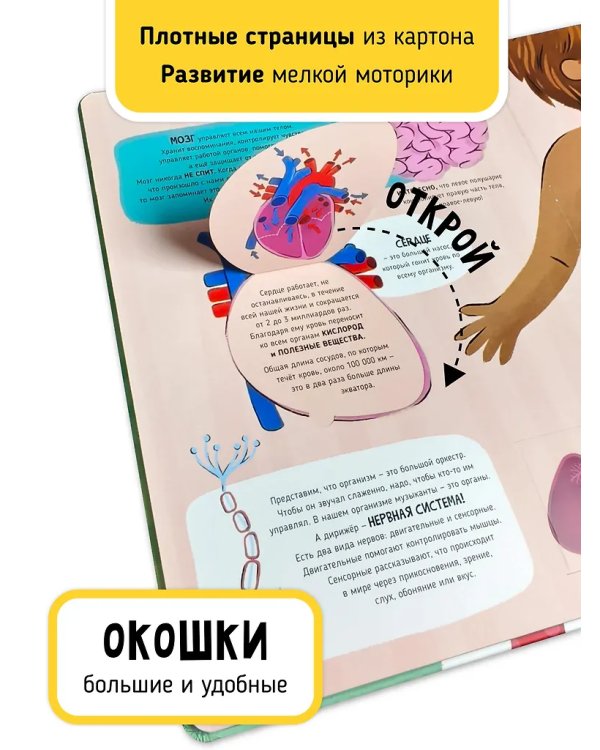 Мои первые открытия. Как это работает?