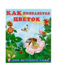 Как появляется цветок