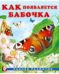 Как появляется бабочка