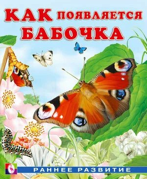 Как появляется бабочка