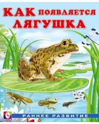 Как появляется лягушка