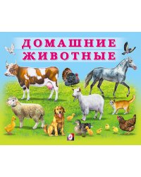 Домашние животные