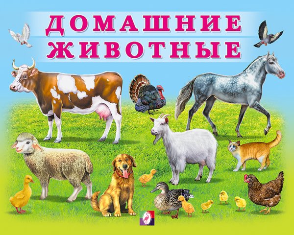 Домашние животные