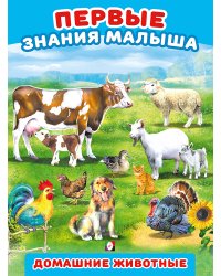 Звери нашего леса