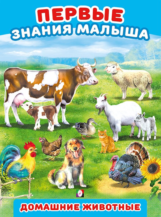 Звери нашего леса