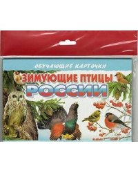 Зимующие птицы России (в европакете)