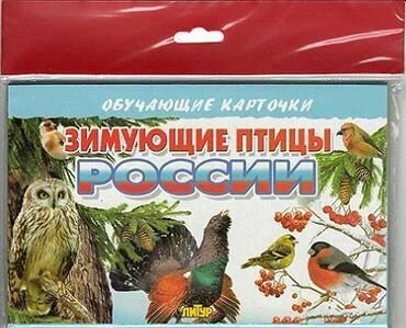 Зимующие птицы России (в европакете)