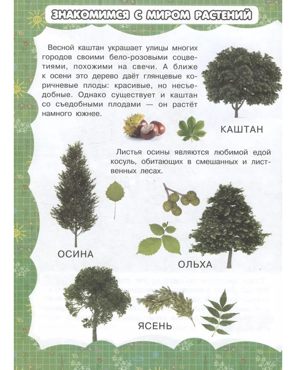 МПК.\Деревья и цветы