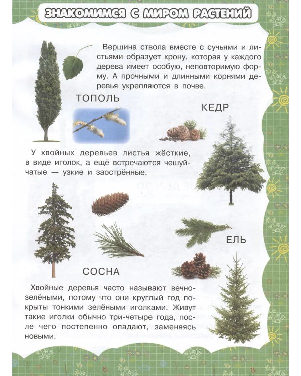 МПК.\Деревья и цветы