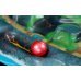 Дополнительное изображение книги «Fireball Island: Проклятие острова Вул-Кар»