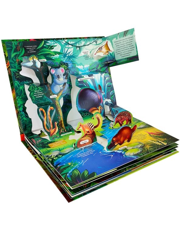 POP-UP энциклопедия. Джунгли книжка панорамка (интегральная обложка)